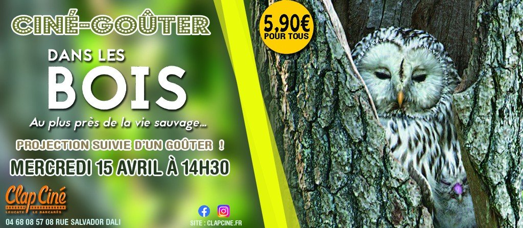 actualité CG-DANS LES BOIS