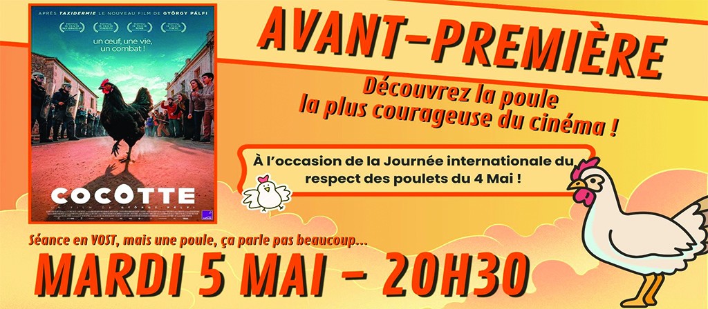 actualité AP COCOTTE